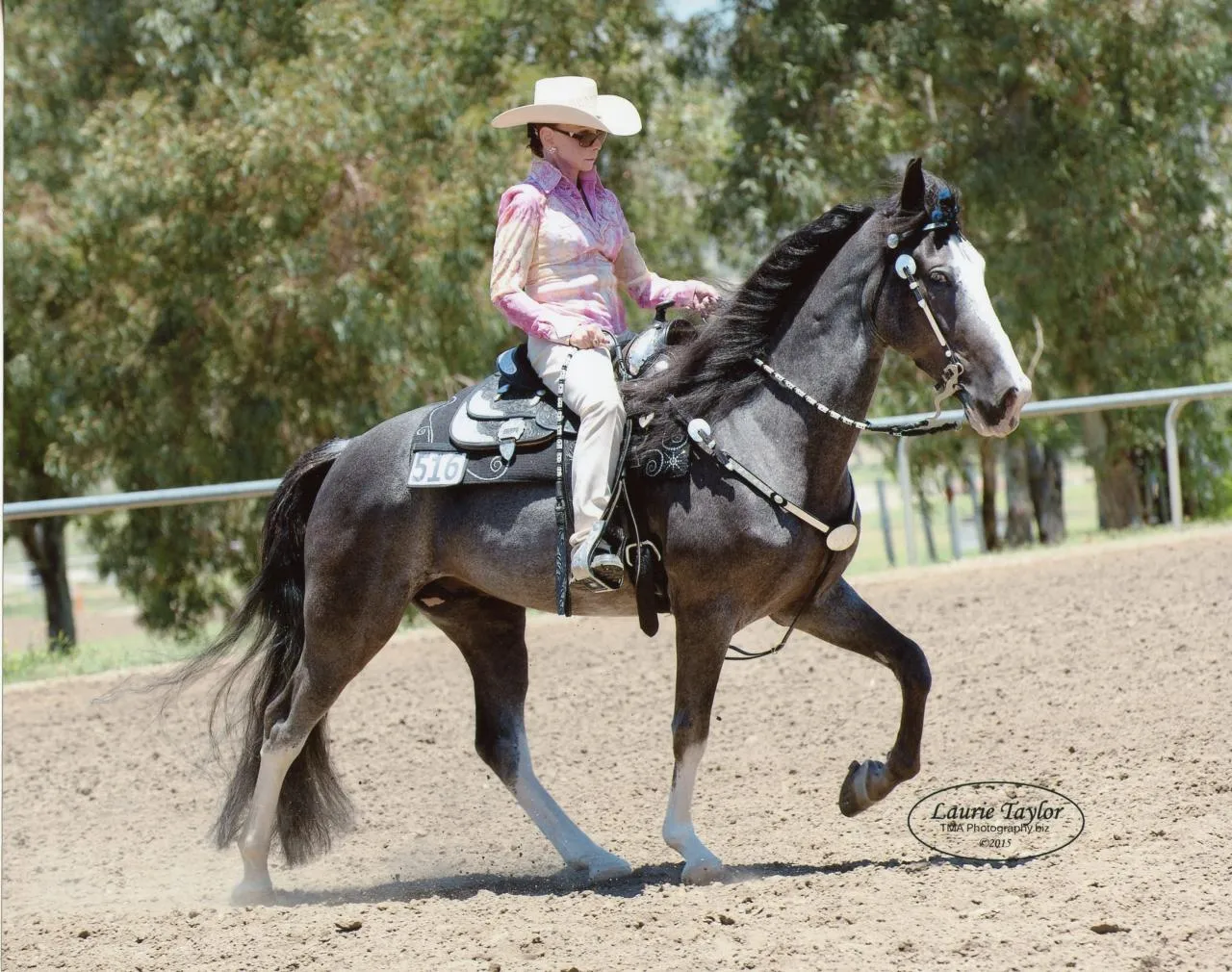 He's Shakin Not Stirred