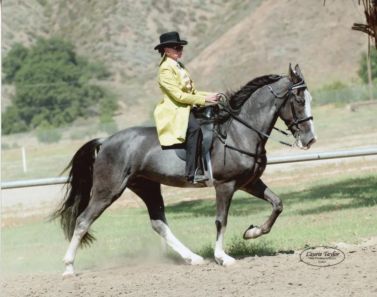 He's Shakin Not Stirred