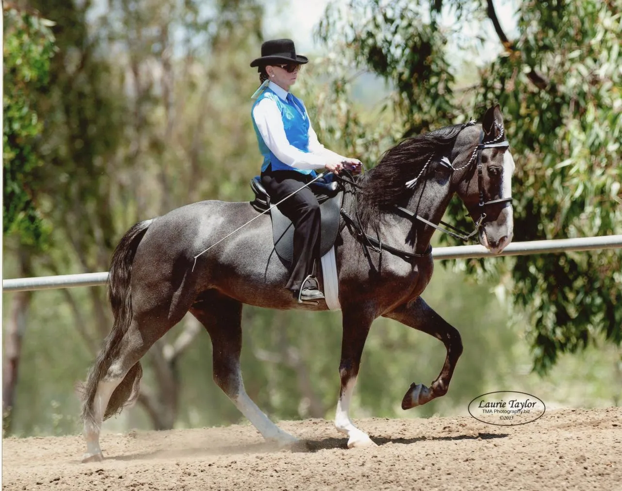 He's Shakin Not Stirred