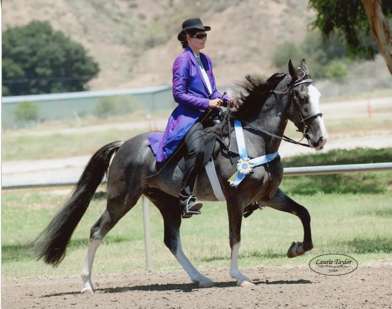 He's Shakin Not Stirred