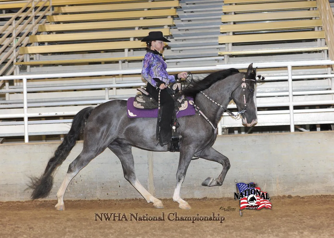 He's Shakin Not Stirred