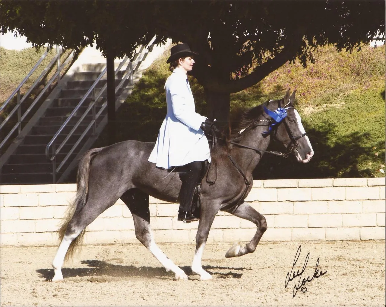 He's Shakin Not Stirred