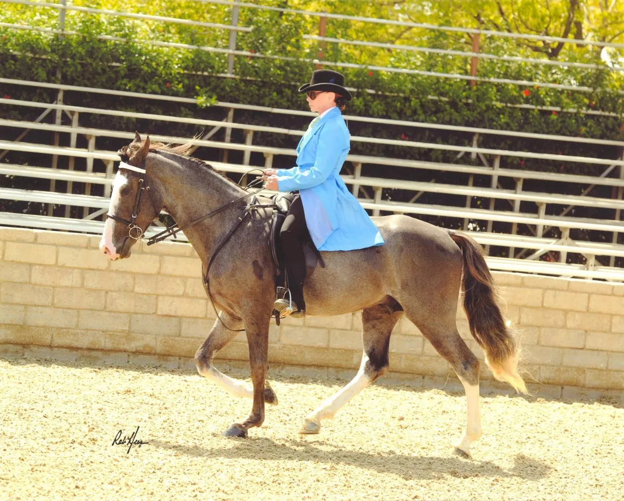 He's Shakin Not Stirred