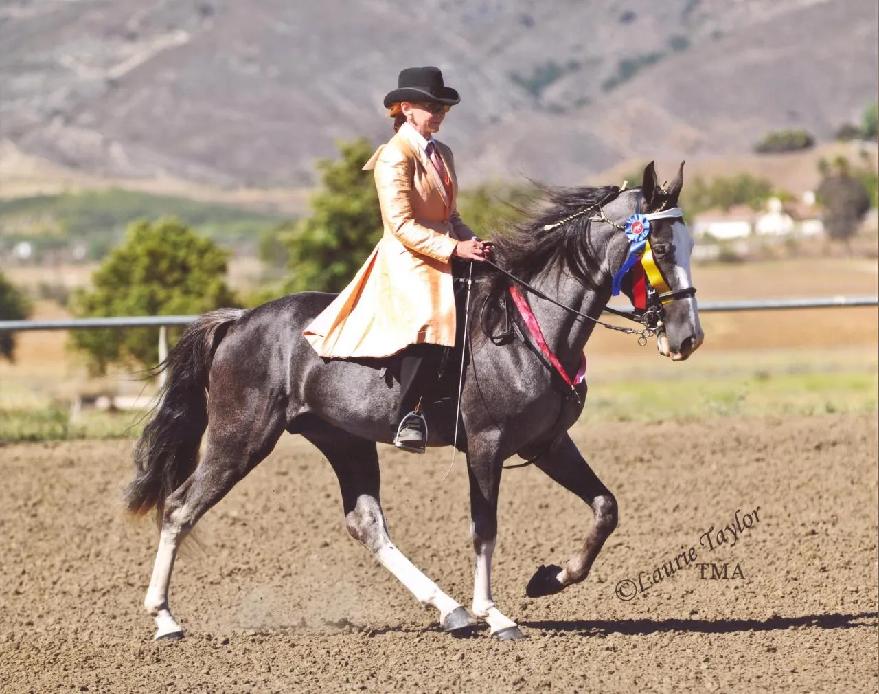 He's Shakin Not Stirred