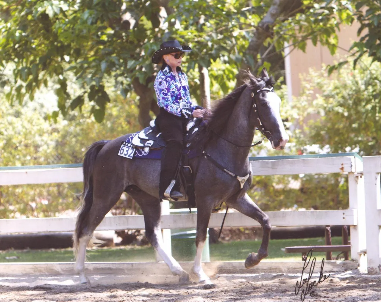 He's Shakin Not Stirred