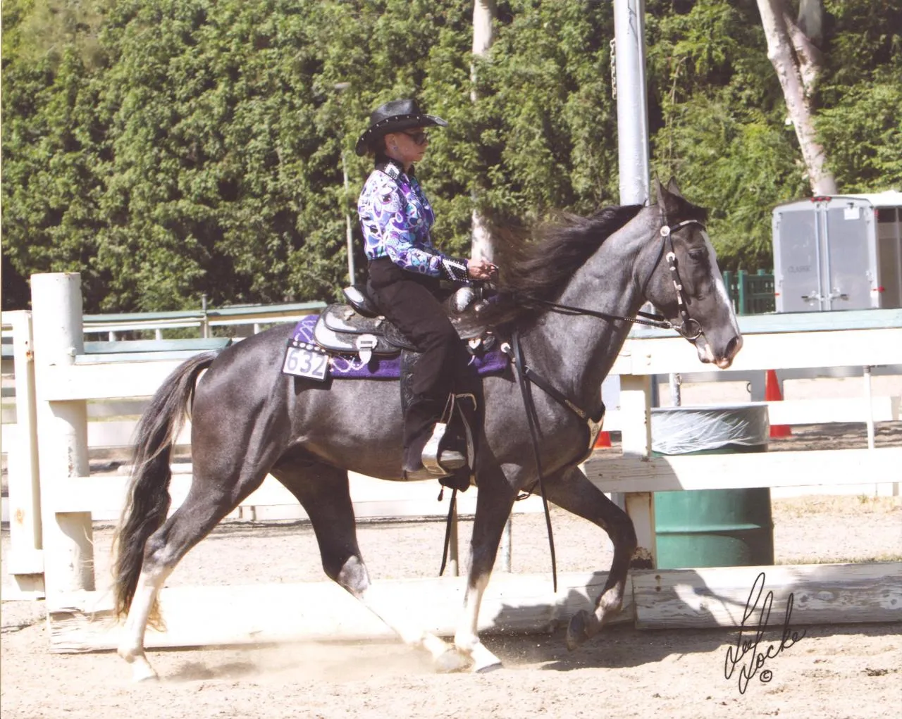 He's Shakin Not Stirred