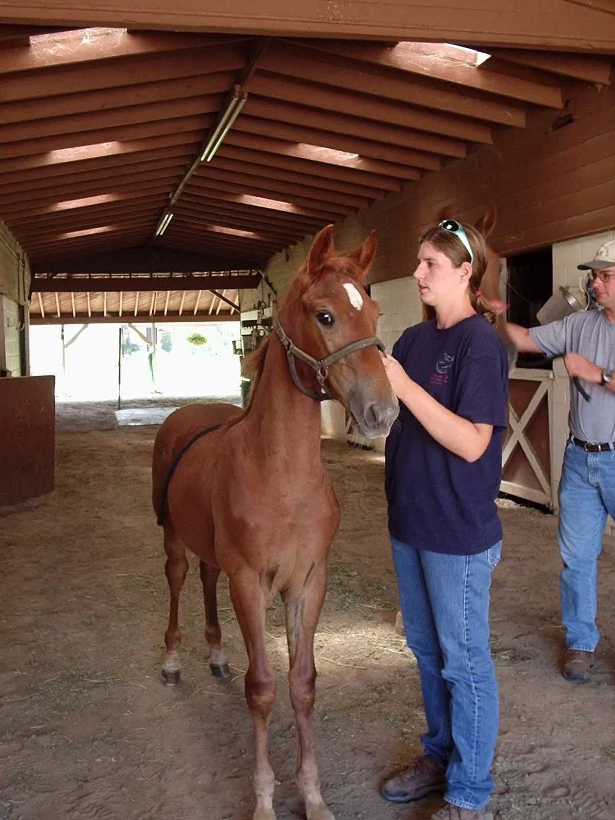 Noon's Birthday Belle