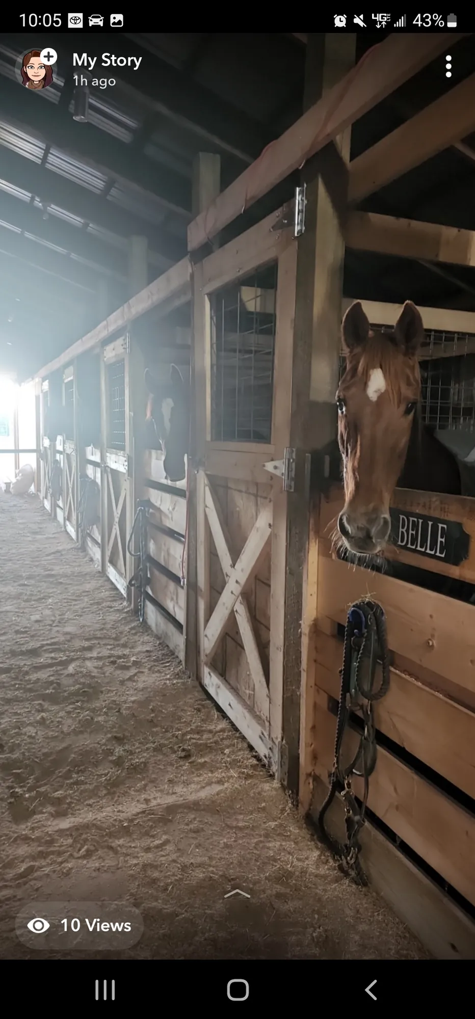 Noon's Birthday Belle