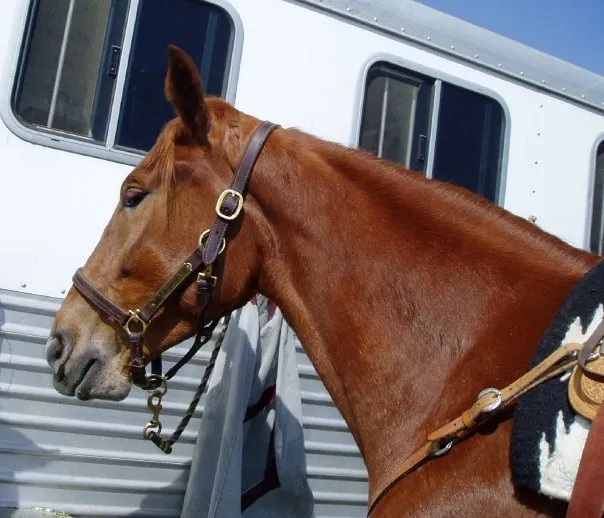 Noon's Birthday Belle