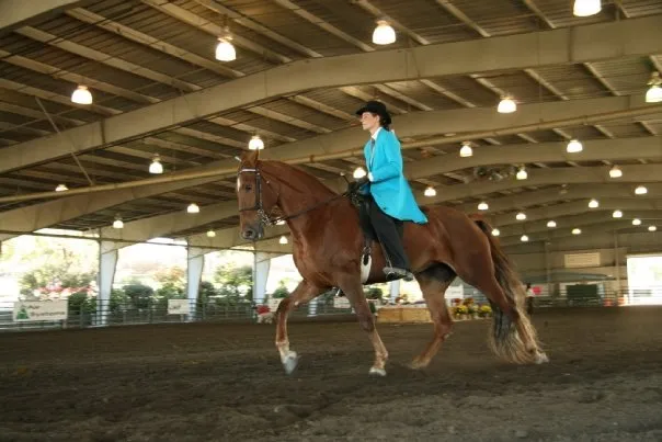 Noon's Birthday Belle