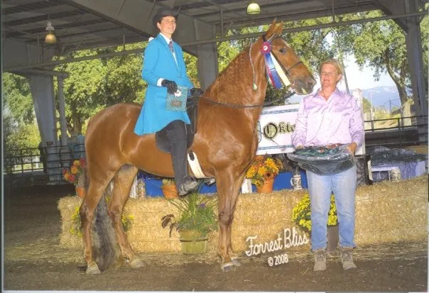 Noon's Birthday Belle