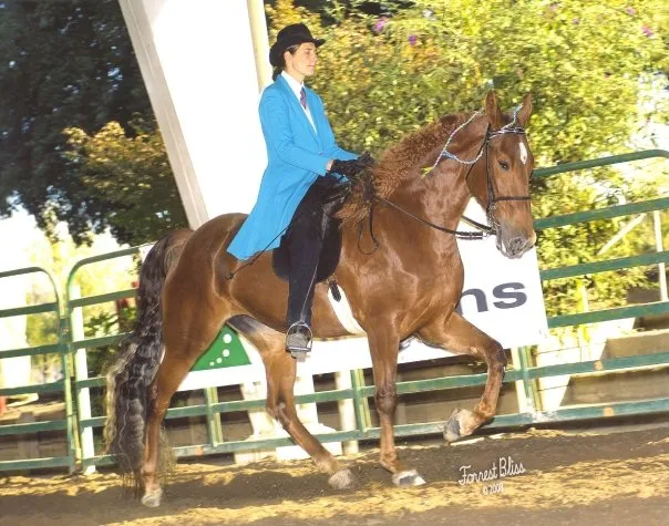 Noon's Birthday Belle