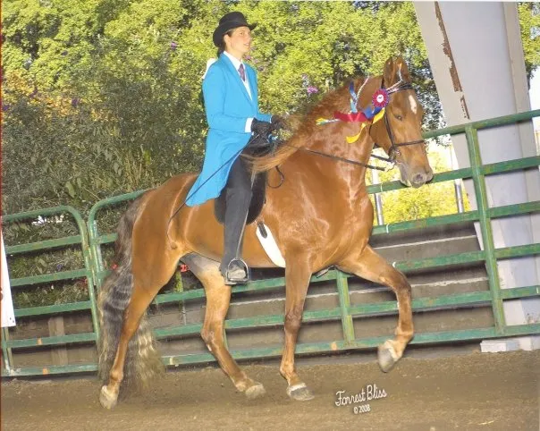 Noon's Birthday Belle