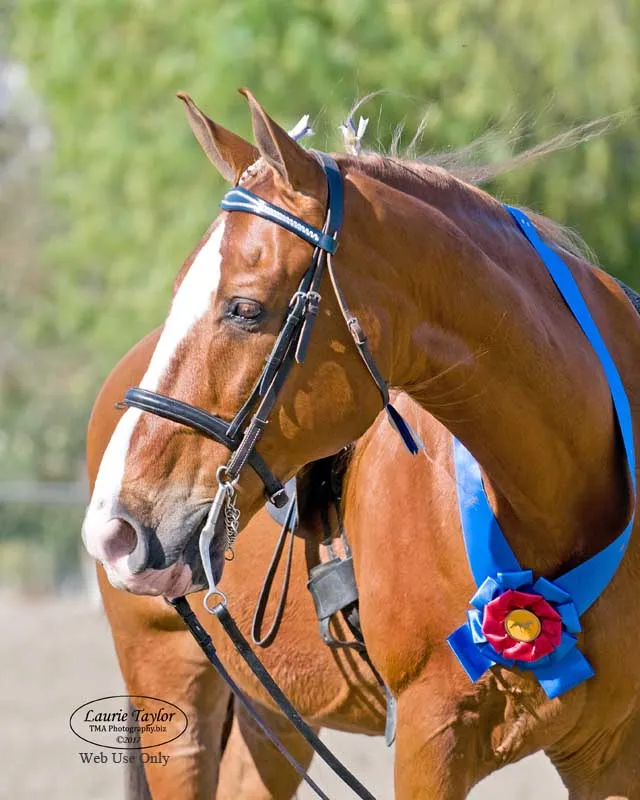 The Gentleman Is Armed