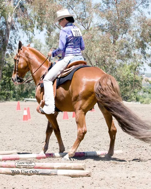 The Gentleman Is Armed