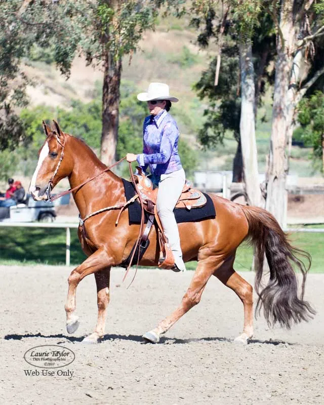 The Gentleman Is Armed