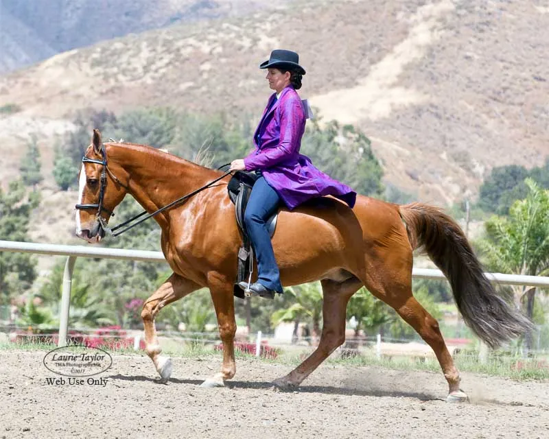 The Gentleman Is Armed