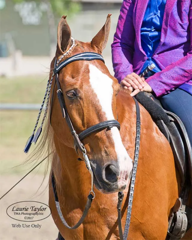 The Gentleman Is Armed