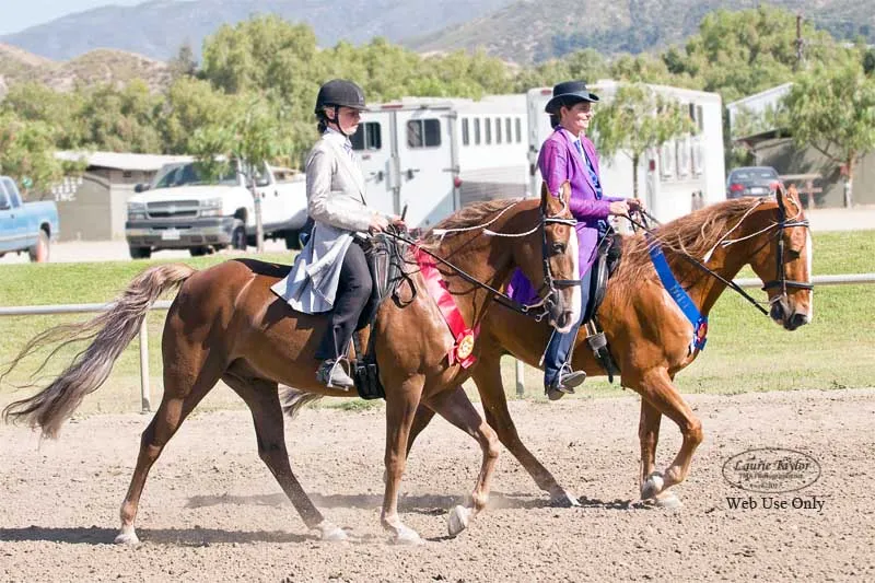 The Gentleman Is Armed