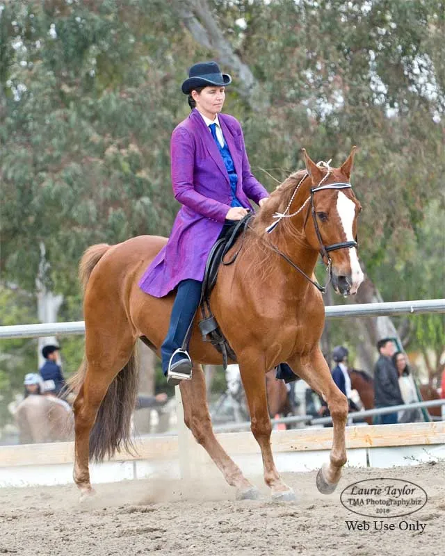 The Gentleman Is Armed