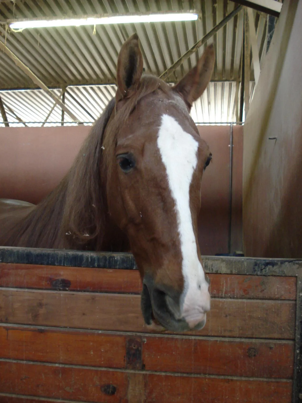 The Gentleman Is Armed