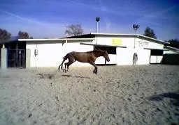 The Gentleman Is Armed