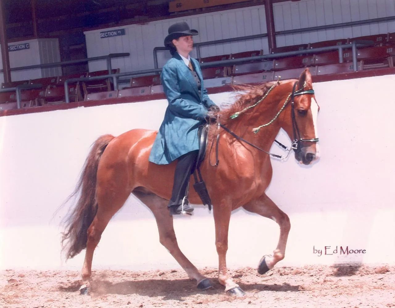 The Gentleman Is Armed