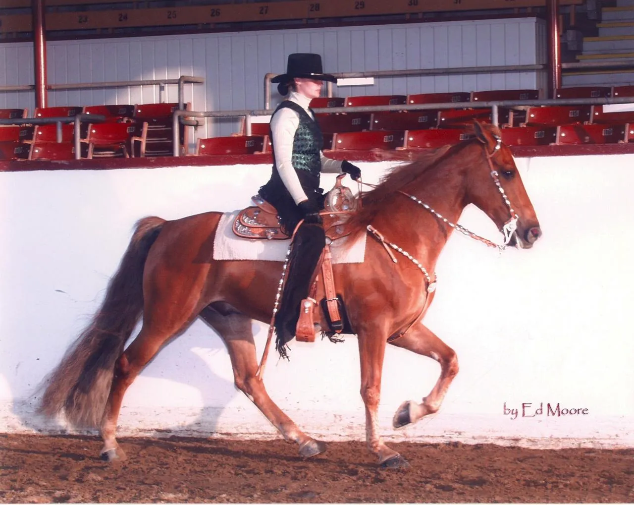 The Gentleman Is Armed