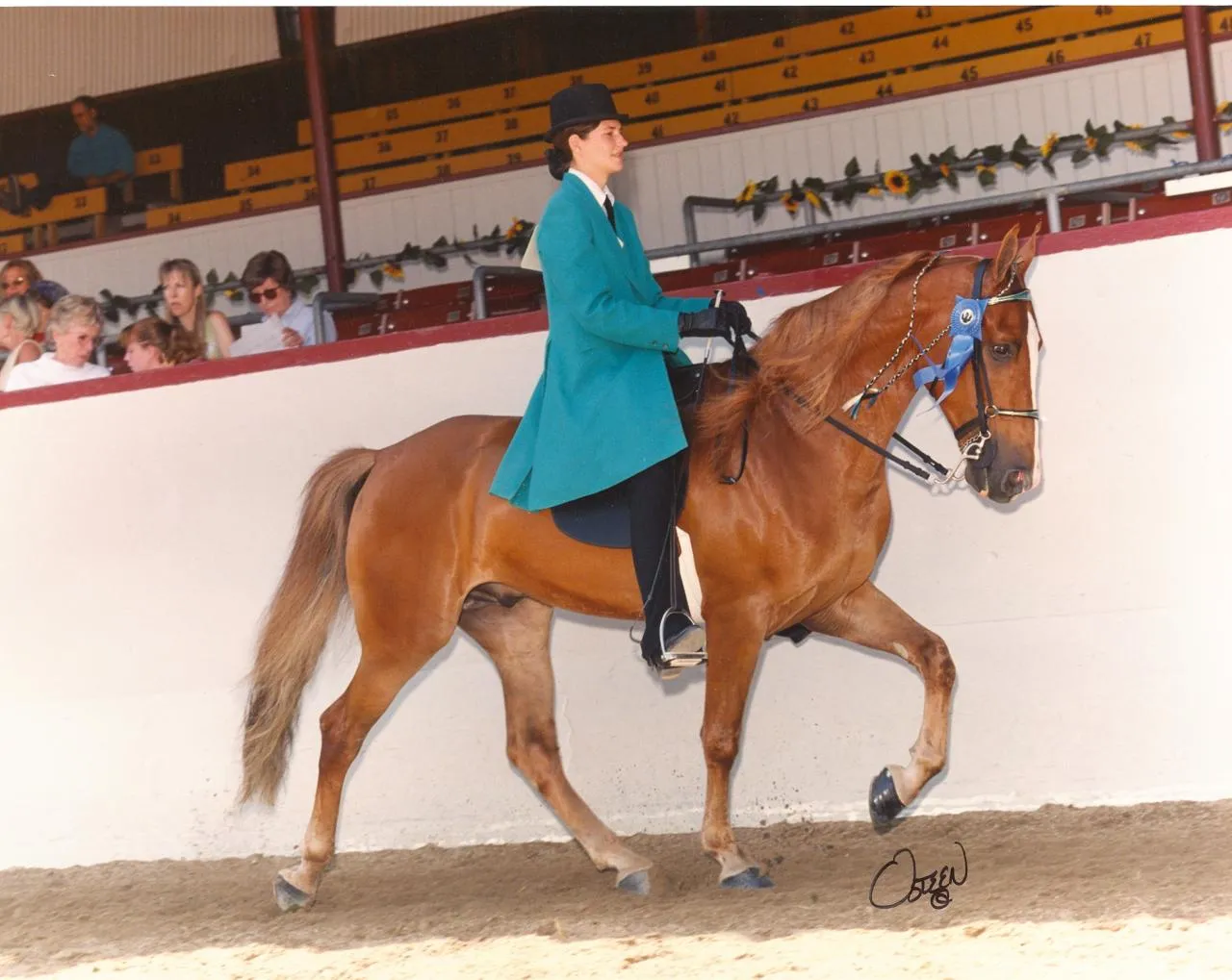 The Gentleman Is Armed