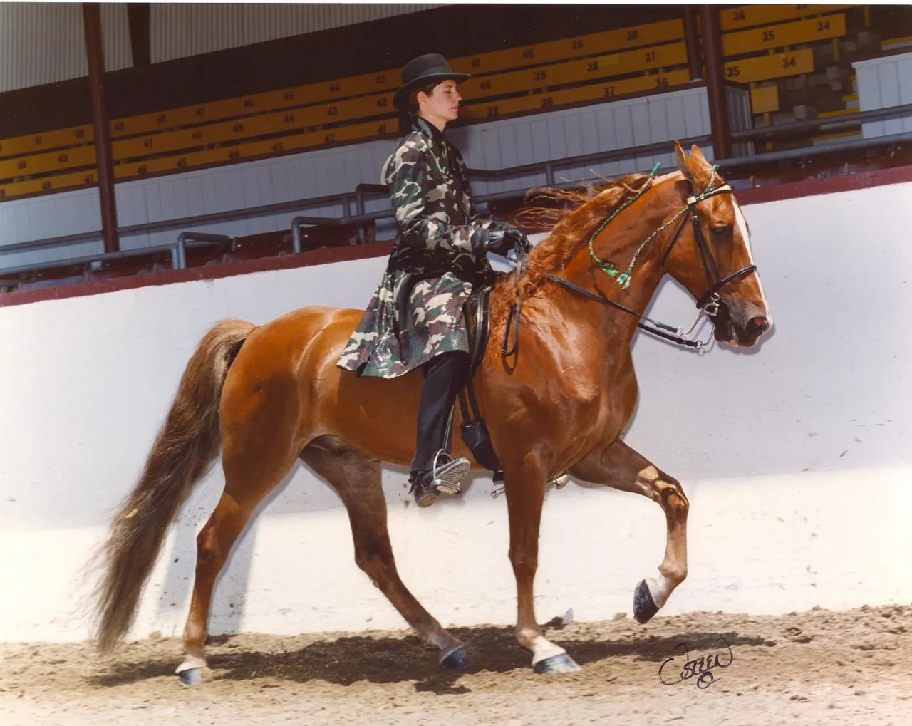 The Gentleman Is Armed