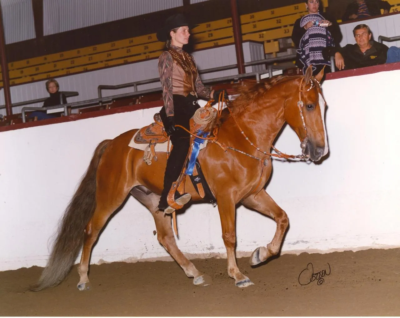 The Gentleman Is Armed