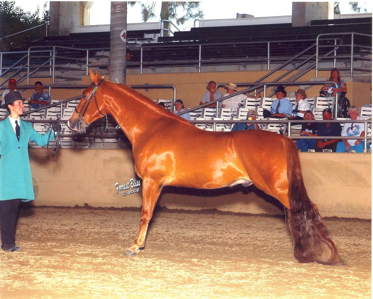 The Gentleman Is Armed