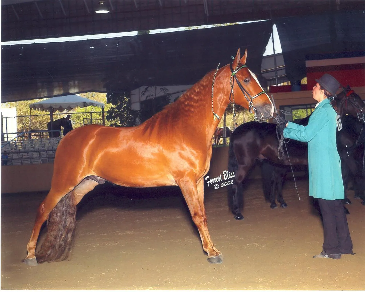 The Gentleman Is Armed