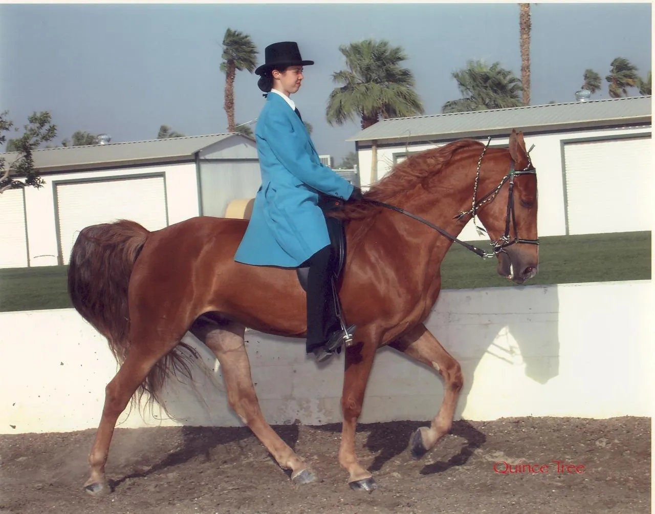 The Gentleman Is Armed