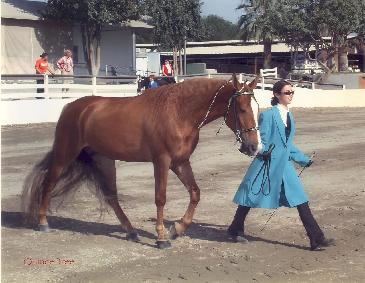 The Gentleman Is Armed