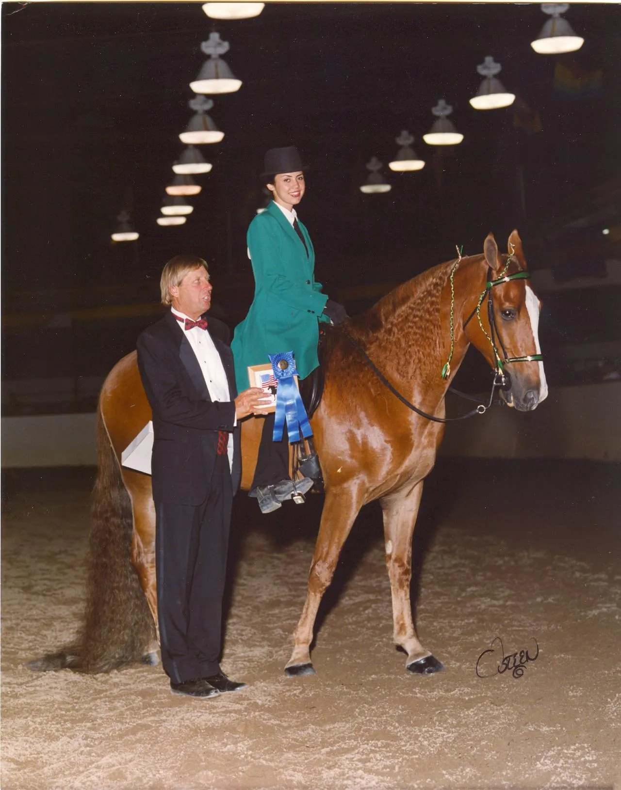 The Gentleman Is Armed