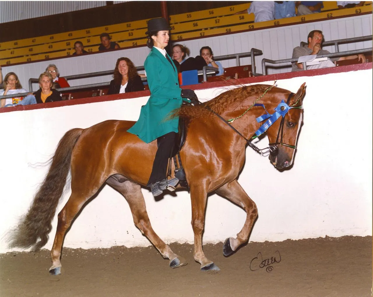 The Gentleman Is Armed