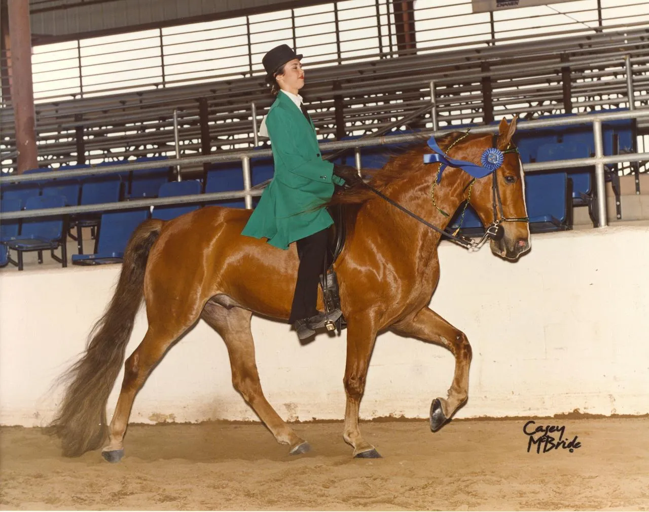 The Gentleman Is Armed