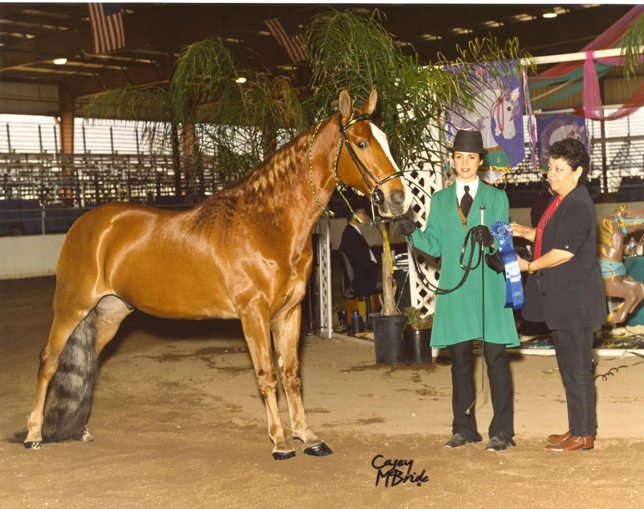 The Gentleman Is Armed