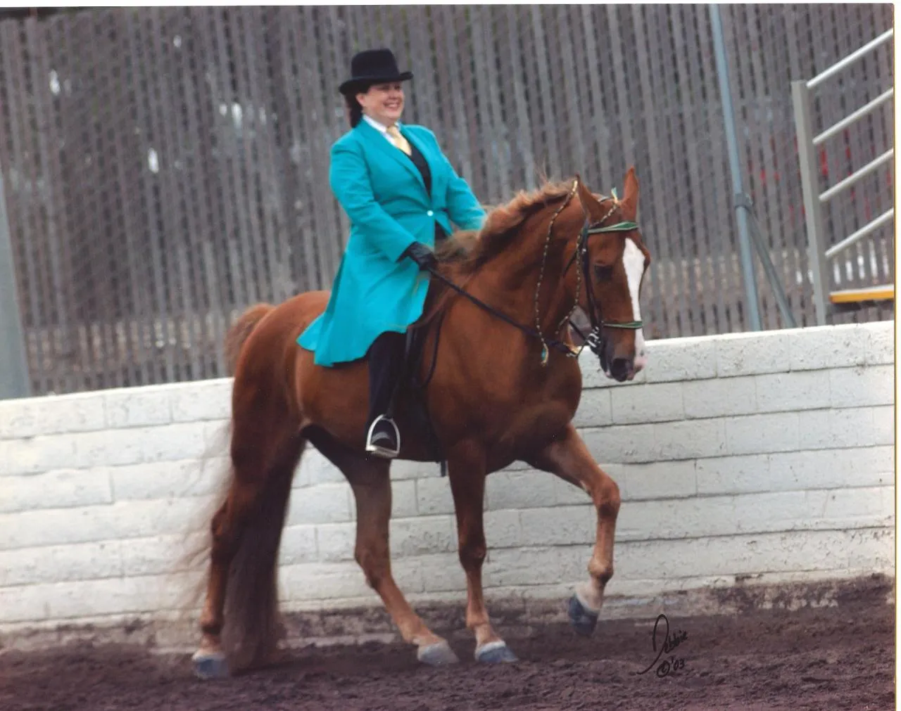 The Gentleman Is Armed