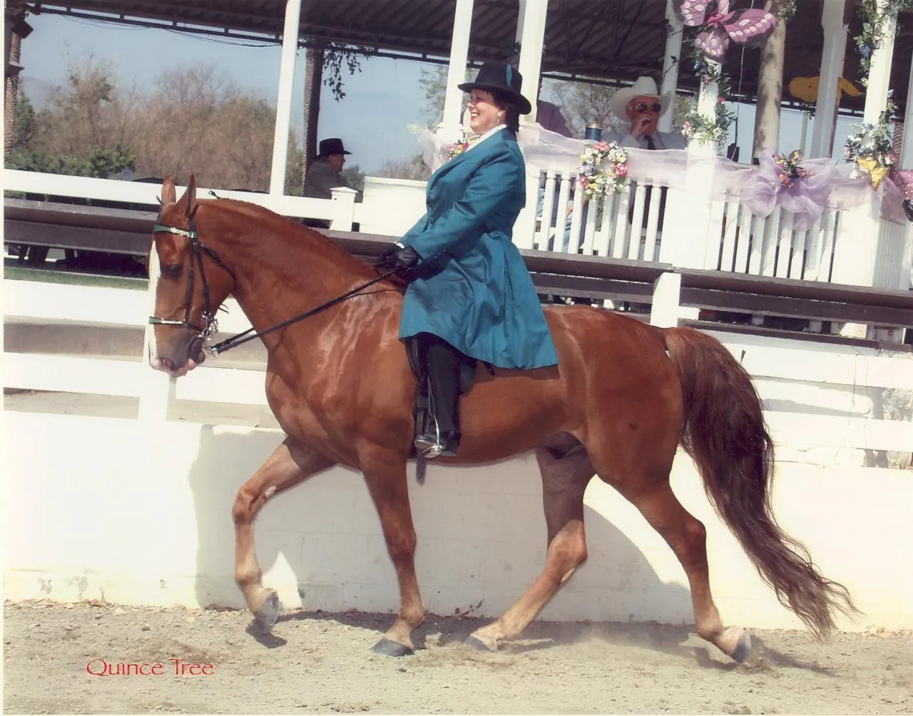 The Gentleman Is Armed