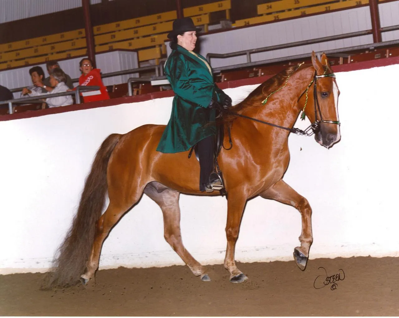 The Gentleman Is Armed