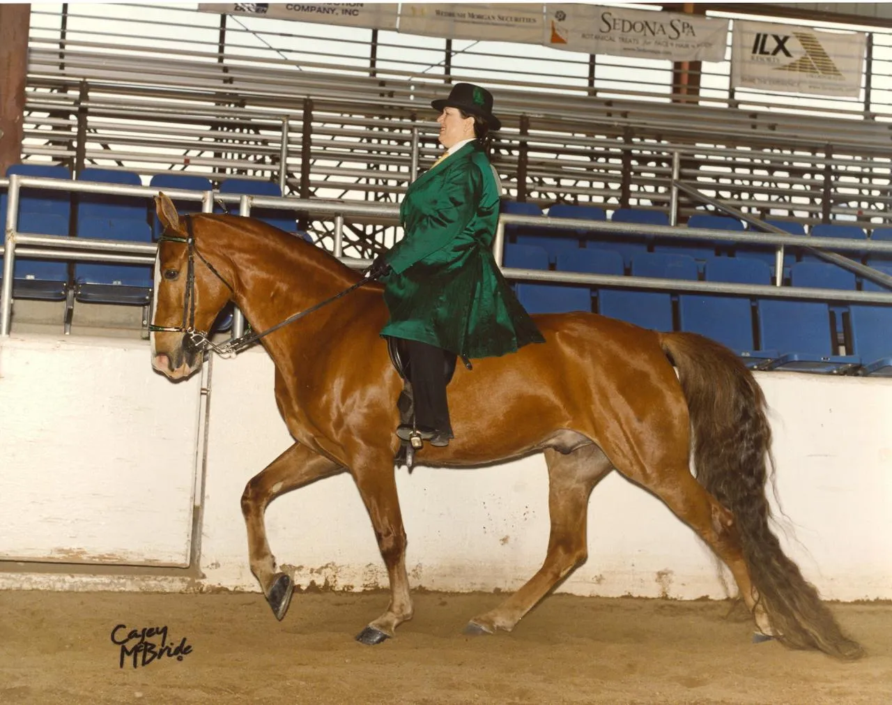 The Gentleman Is Armed