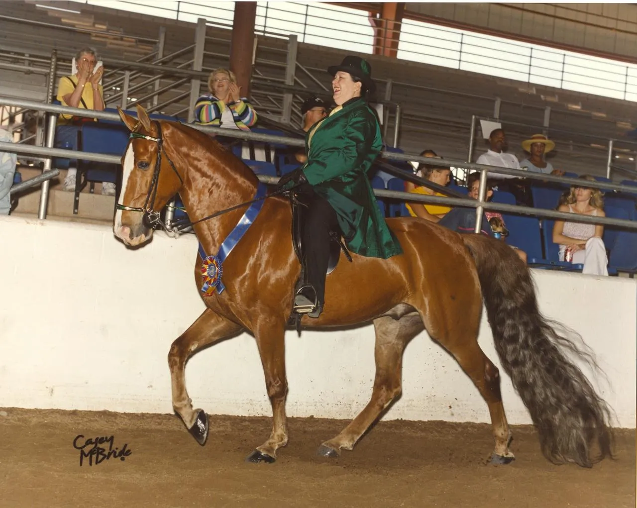 The Gentleman Is Armed