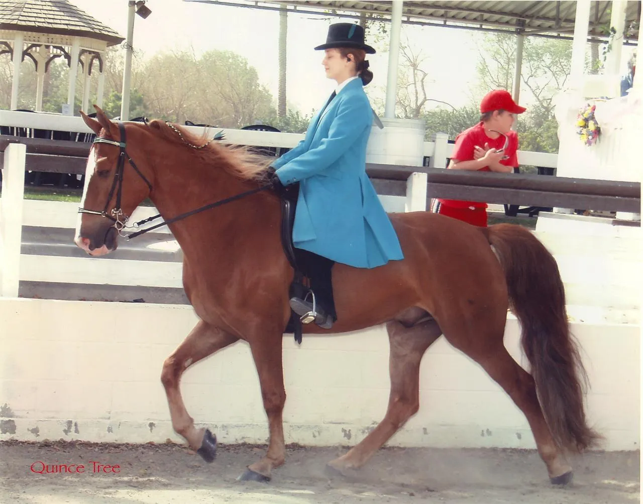 The Gentleman Is Armed