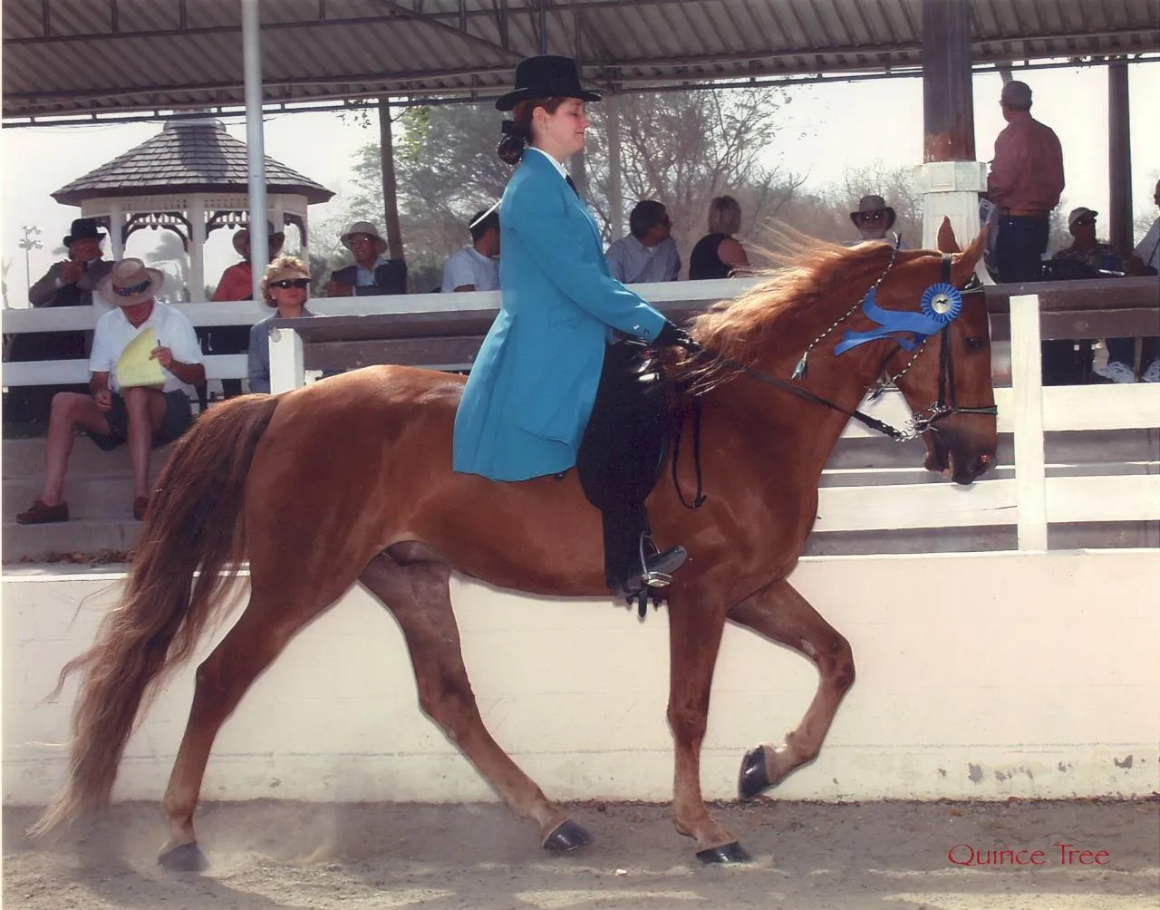 The Gentleman Is Armed