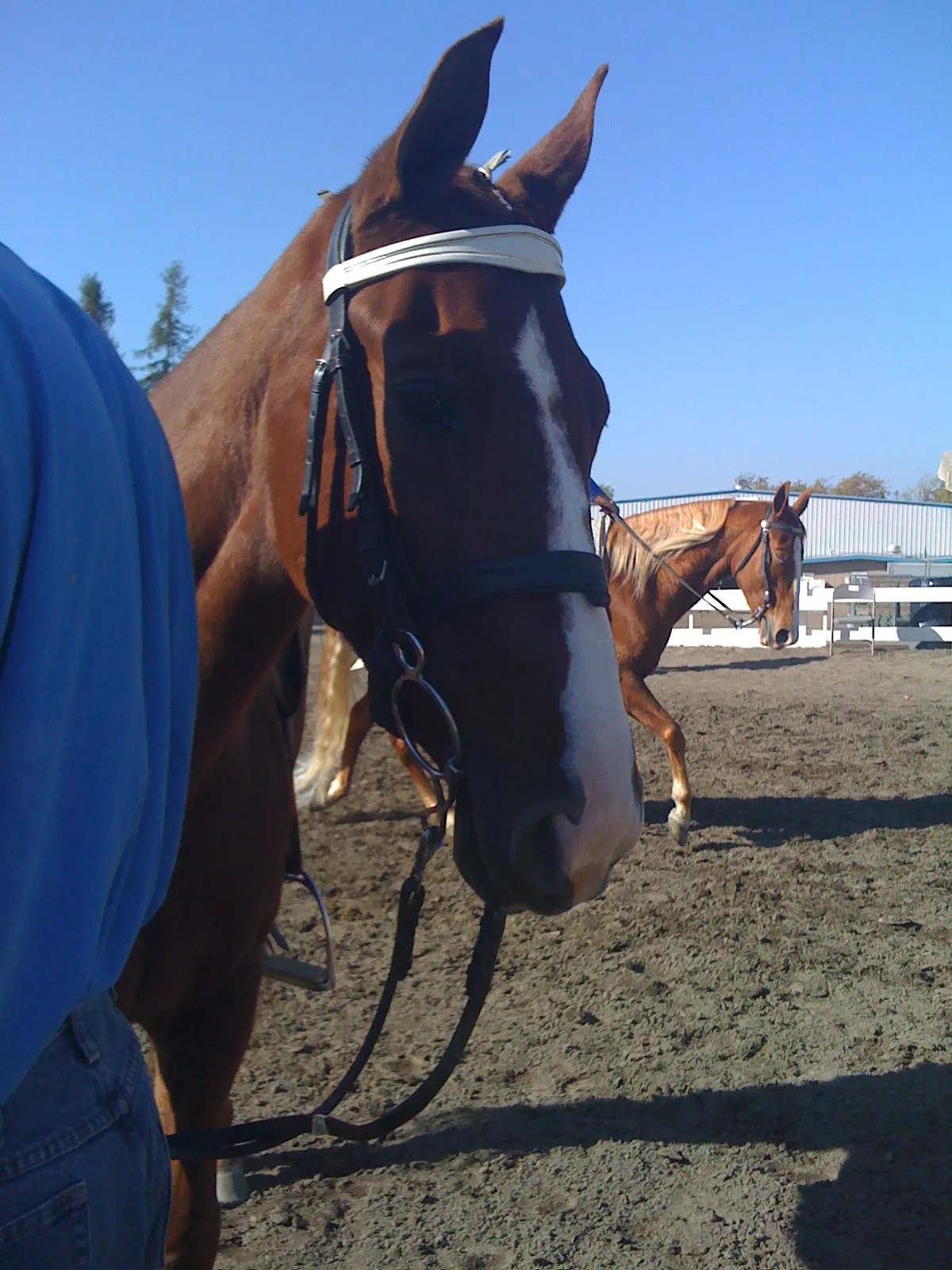 Generating High Voltage