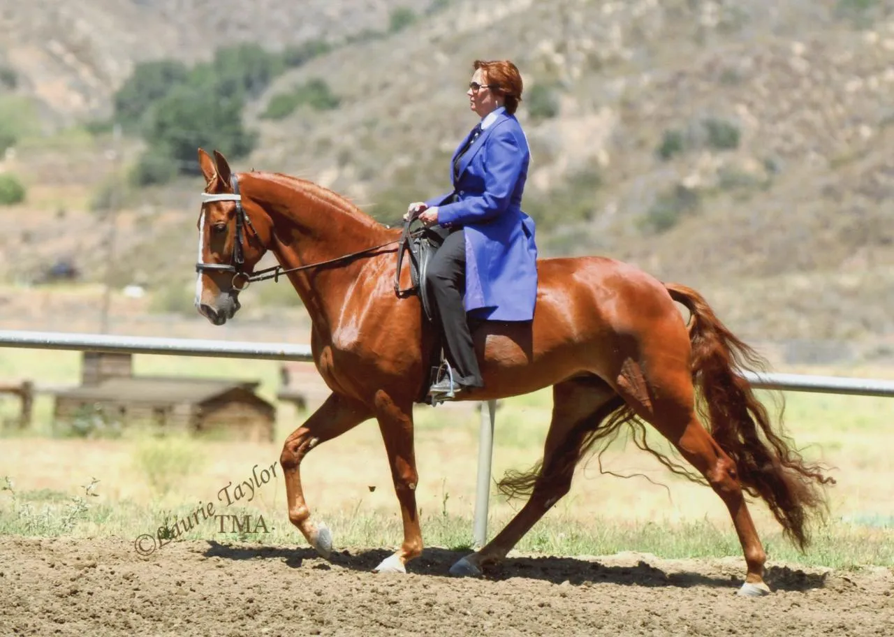 Generating High Voltage