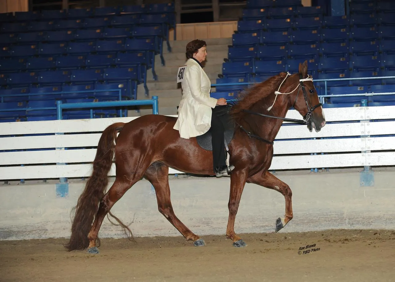 Generating High Voltage