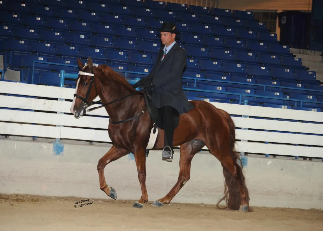 Generating High Voltage